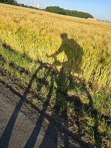 Bild vergr&ouml;&szlig;ern: Foto Schatten-Rad