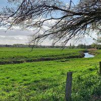 Naturschutzgebiet Lahde