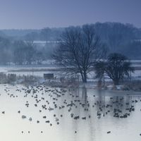 Waserauenlandschaft